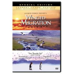 winged migration winged migration