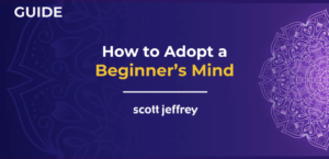 beginner's mind