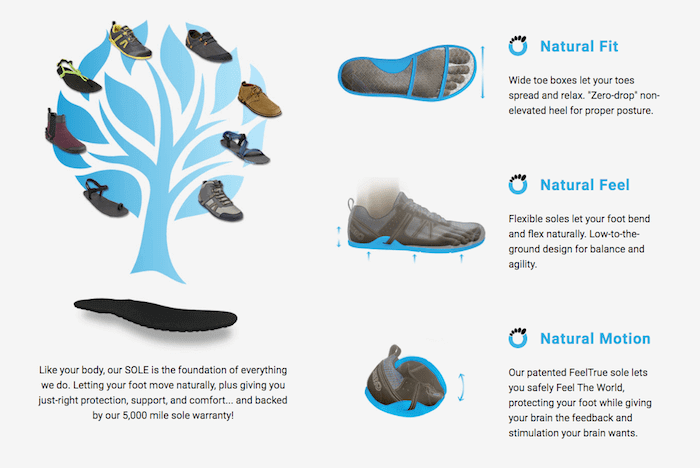 electrically grounded shoes
