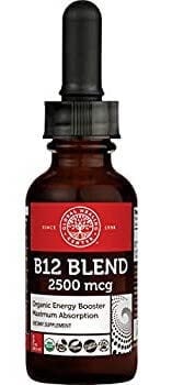 best energy supplement for chronic fatigue B12 blend