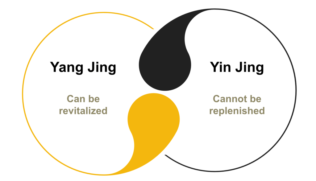 yin jing vs yang jing