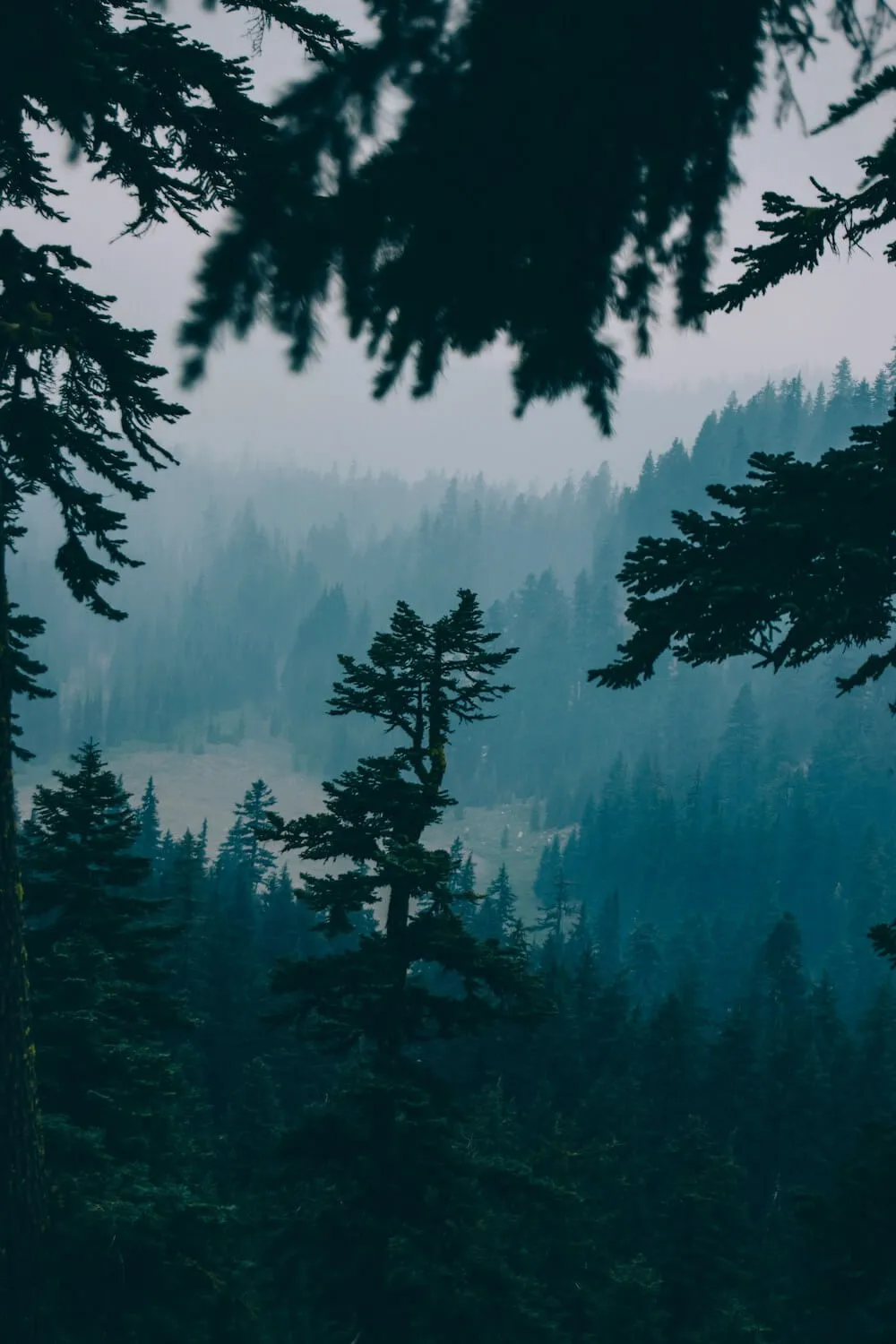 spiritual growth image