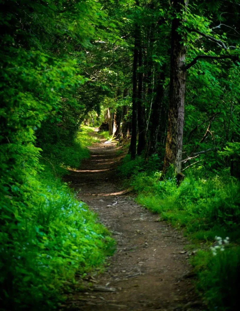 spiritual practices tips