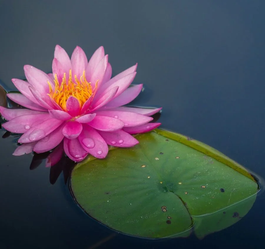 spiritual growth stages