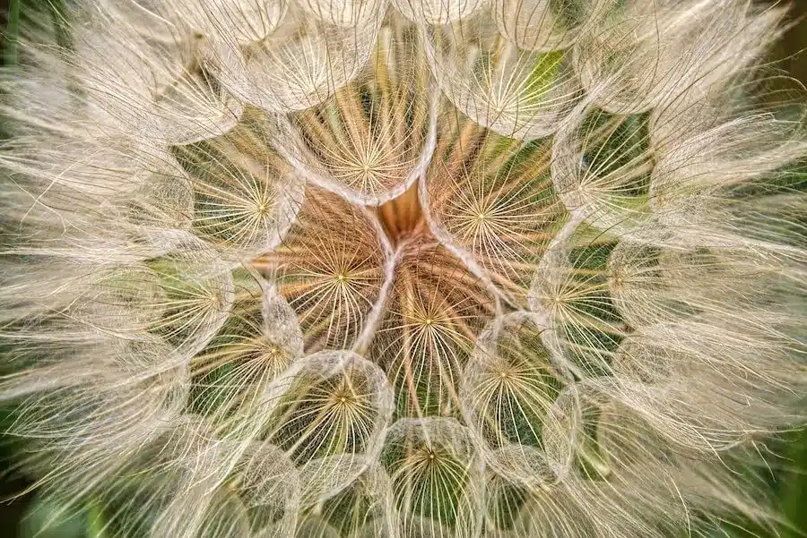 carl jung synchronicity meaning