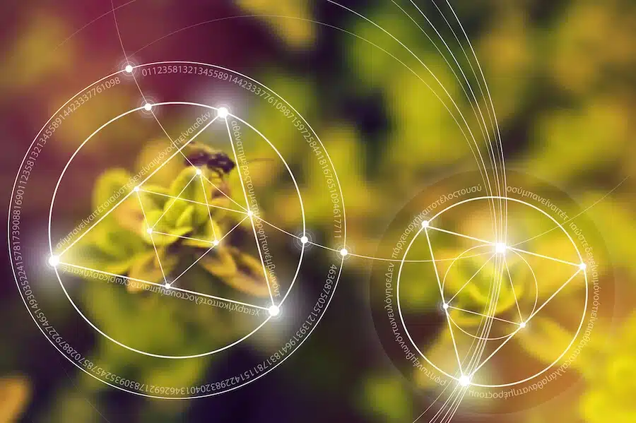 jungian synchronicities meaning