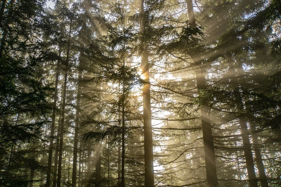 spiritual growth signs