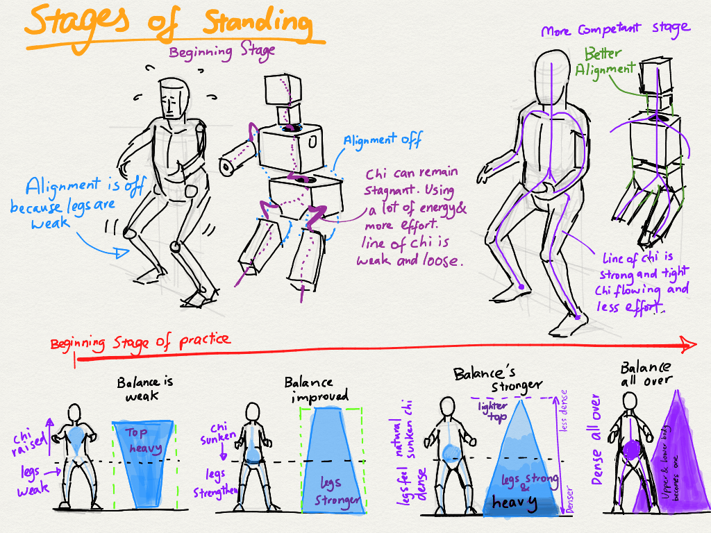 stages of standing